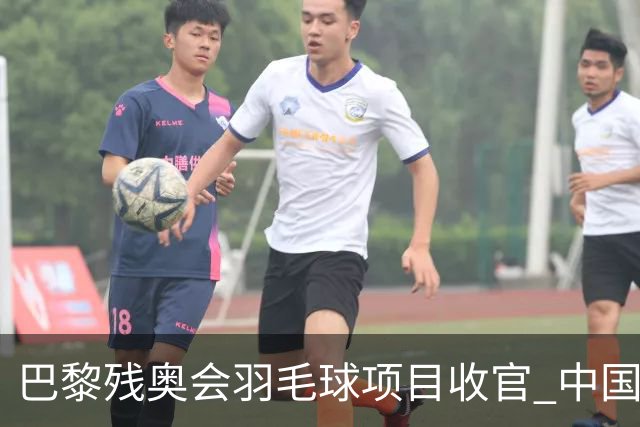 巴黎残奥会羽毛球项目收官 中国队斩获9金2银1铜