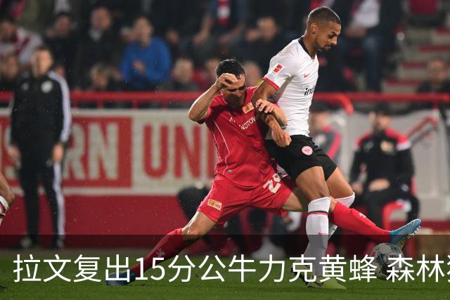 拉文复出15分公牛力克黄蜂 森林狼大胜火箭
